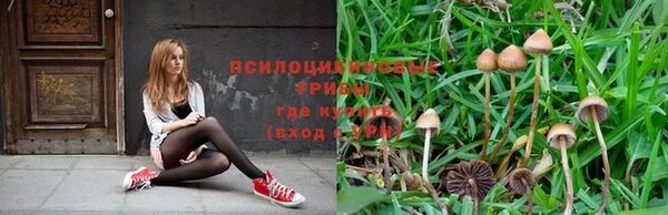 амфетамин Заводоуковск